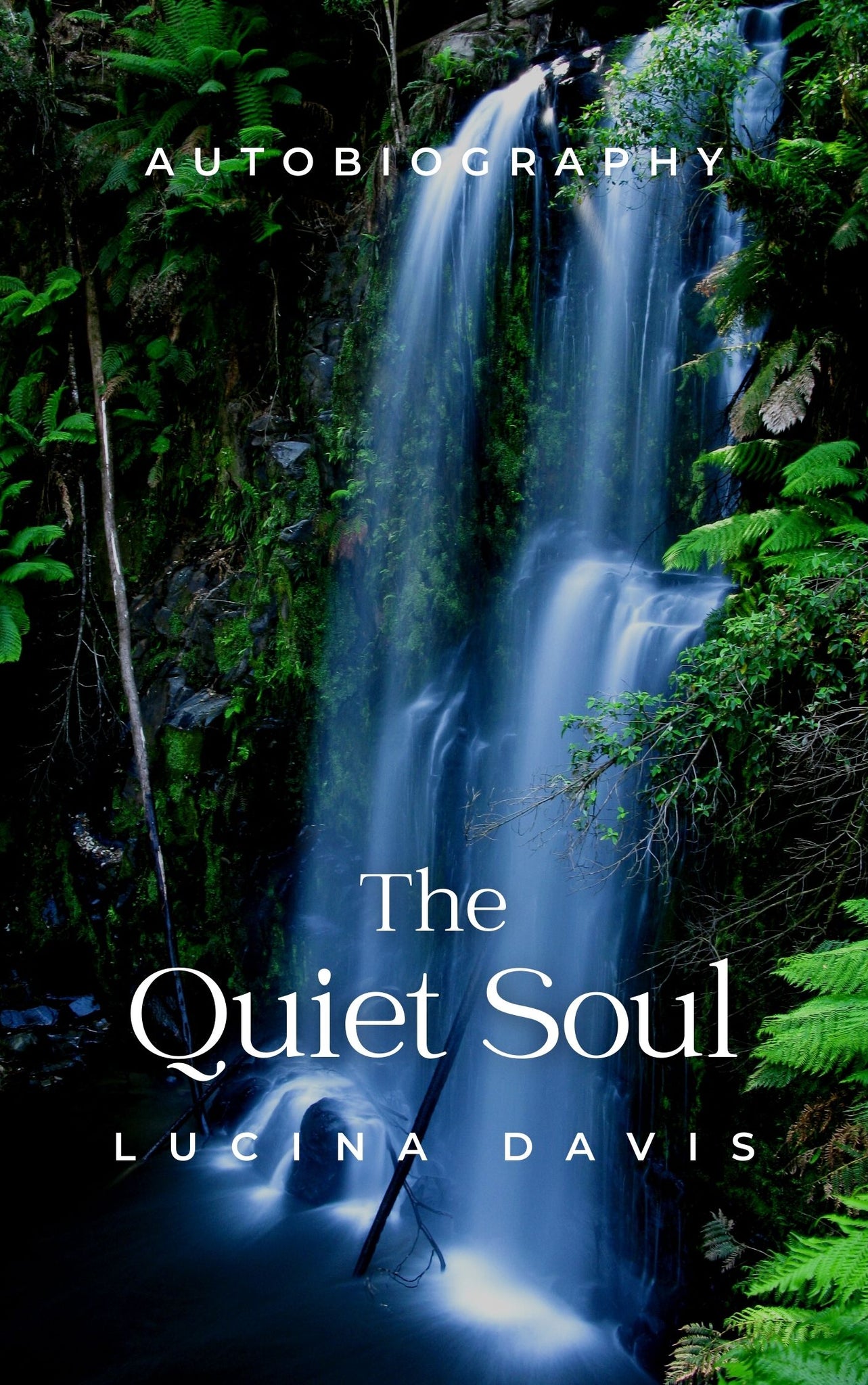 The Quiet Soul